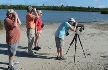 St.Martin - St.Maarten: Small Group, Birding Tour / Bird Watching Tour
