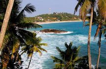 8 Day Private Sri Lanka Tour: Safari, Whale Watching & More