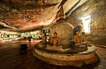 8 Day Private Sri Lanka Tour: Safari, Whale Watching & More
