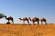 One Way Jaipur To Udaipur Drop With Optional Visit to Pushkar