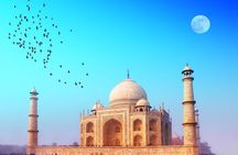 4 Days Jaipur, Ranthambore, Agra Tour including Safari & Hotels