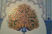 Traditional Dinner with Indian Family in Jaipur With Transfers