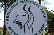 Guided Keoladeo Bird National Park Tour in Bharatpur from Jaipur