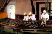 Private Tour: Sotuta de Peon Hacieda Day Trip