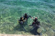 Scuba Diving for Beginners in Pula