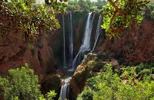 Ouzoud Waterfalls Full-Day Tour from Marrakech