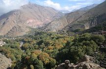 Guided Day Trip to Atlas Mountains from Marrakech