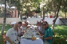 Full Day Ephesus Tour for Cruise Passengers