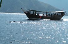 Dolphin Watching Cruise from Muscat