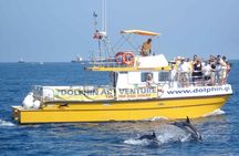 Dolphin Watching Excursion in Gibraltar