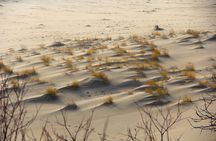 Best of Klaipeda & Curonian Spit Join-in Shore Excursion