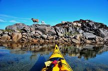 Half Day Kayak - Northern Explores AS