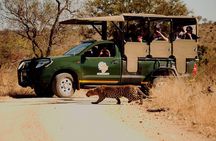 Kruger National Park Full Day Private safari 