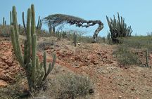 Arikok Adventurous Hiking Experience in Aruba