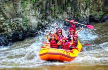 Ubud Rafting With Private Return Transport