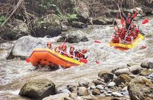 Ubud Rafting With Private Return Transport