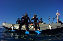 Snorkeling Tour with Sea Turtles and Stingrays