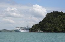 Bay of Islands Half-Day Private Tour