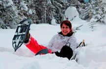 Full-Day Snowshoeing in High Tatras with Local Mountain Guide from Poprad