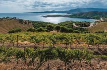 Wines Tasting and Typical Breakfast Small Group Tour from Girona