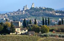 Private Tuscany Day Tour: San Gimignano and Chianti Wine Region from Florence