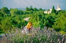 Hvar Lavender Small Group Tour