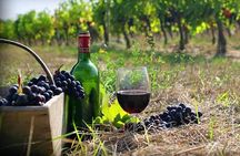Private Wine Tour to Kakheti from Tbilisi