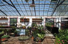 Tour to Gardenia Shevardnadze Flea Market and Tbilisi Old Town