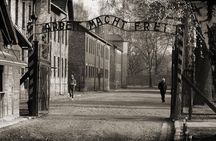 Krakow and Auschwitz - Full Day Tour from Warsaw by private car