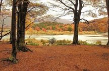 Tierra del Fuego National Park - USHUAIA (Shared tour)