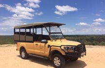 Kruger Safari Tour - Full Day