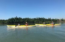 Cocopalm Forest To A Craft Village