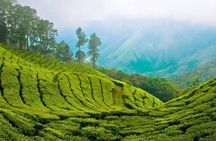 Day tour to Nuware Eliya (Littel England) From Kandy