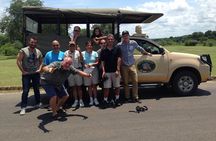 Kruger Park Safari: Guided Day Tour from Nelspruit
