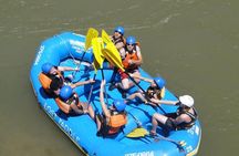 Bighorn Sheep Canyon Full-Day Experience