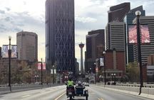 Calgary City Sightseeing Tour