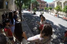 Valencia Private Walking Tour with Official Valencian Guide