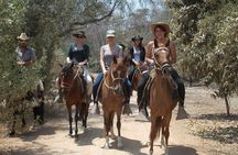 4-Hours Horse riding, Inca pyramids in world's largest dry forest