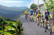 Best Kintamani - Ubud Bali Bicycle Tours