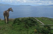 Luxury Photography Day Tour on Ring of Kerry and Skellig Ring - Fully Guided and Chauffeured