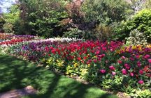 Royal London Private Walking Tour