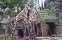 Angkor Wat 2-Day Tour