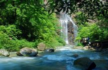 1-Day Private Tour to Glass Bridge & Yellow Dragon Cave