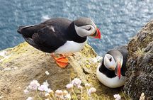 Galway to Cliffs of Moher, Aillwee Cave & Dunguaire Castle Tour 