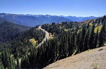 Olympic National Park Luxury Small-Group Day Tour with Lunch