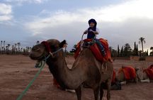 Palmerai groove Camel Ride with SunSet