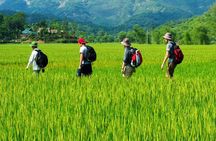 Mai Chau to Pu Luong 3-Day Tour from Hanoi