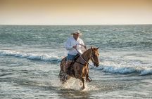 Horseback riding tour in a Colombian Paso fino horse