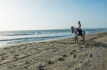 Horseback riding tour in a Colombian Paso fino horse