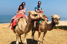 Private Full Day Tour of Tangier w/ Hotel pick up with private driver and guide